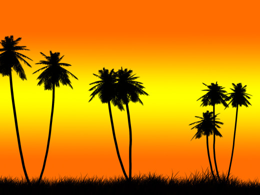 649335 (a): :1600x1200